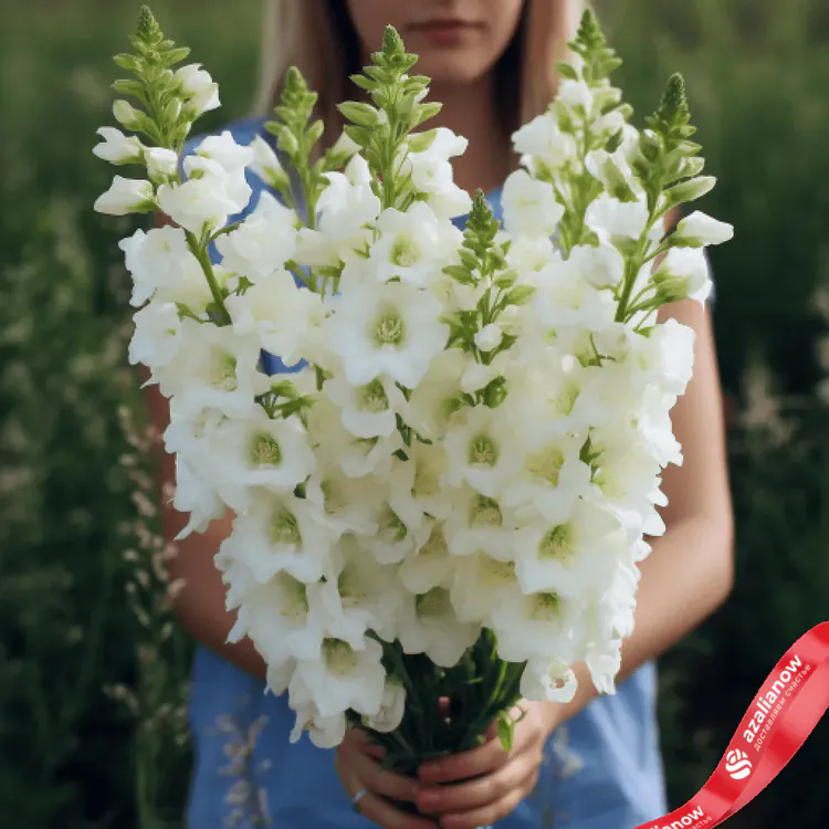 Букеты с дельфиниумом, значение и символика