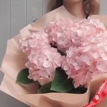 Маленькое фото 2: Букет из 9 розовых гортензий в розовой бумаге