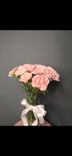 Фото флориста 5: Диантусы